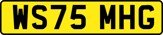 WS75MHG