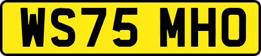 WS75MHO