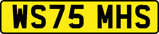 WS75MHS
