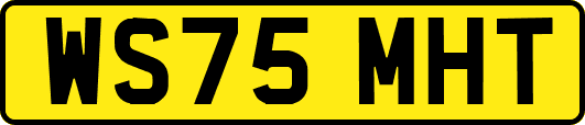 WS75MHT