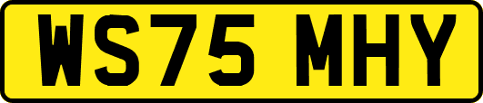 WS75MHY