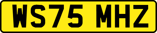 WS75MHZ