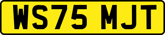 WS75MJT