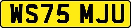 WS75MJU