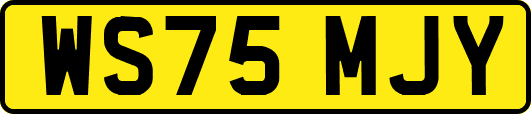 WS75MJY
