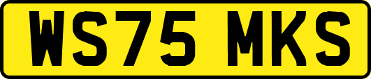 WS75MKS