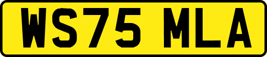WS75MLA