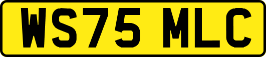 WS75MLC