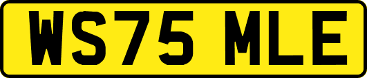 WS75MLE