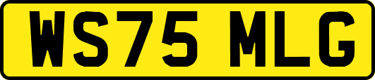 WS75MLG