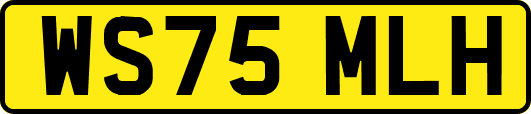 WS75MLH