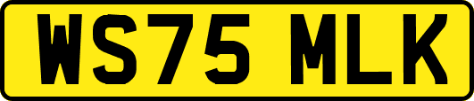WS75MLK