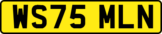 WS75MLN