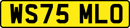 WS75MLO