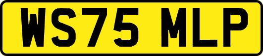 WS75MLP