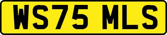 WS75MLS