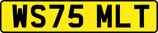 WS75MLT