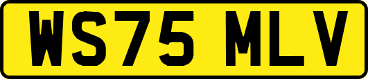 WS75MLV