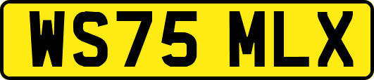 WS75MLX