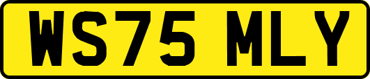 WS75MLY