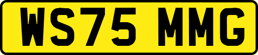 WS75MMG