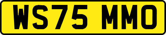 WS75MMO