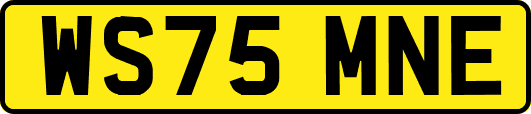 WS75MNE