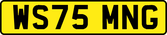 WS75MNG