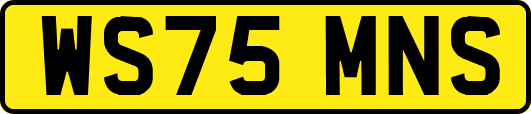 WS75MNS