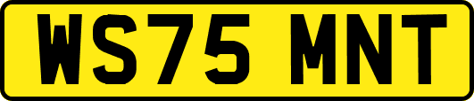 WS75MNT