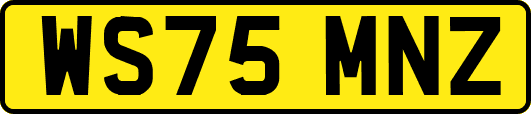 WS75MNZ