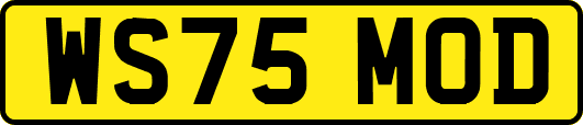 WS75MOD