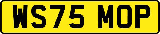 WS75MOP