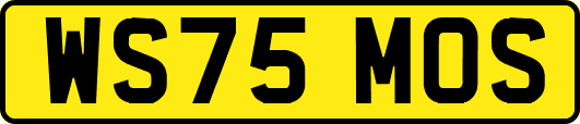 WS75MOS