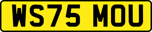 WS75MOU