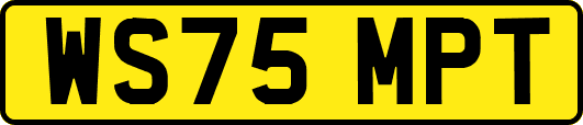 WS75MPT