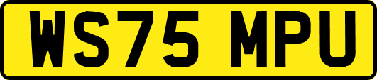 WS75MPU