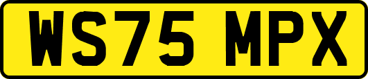 WS75MPX