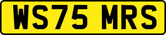 WS75MRS