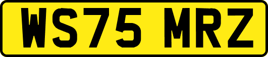 WS75MRZ