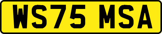 WS75MSA