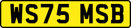WS75MSB