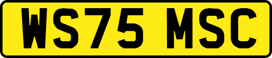 WS75MSC
