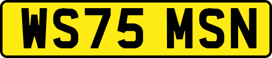 WS75MSN
