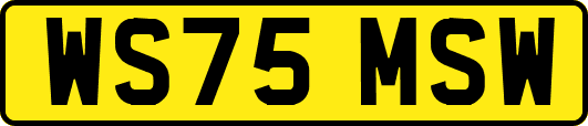 WS75MSW