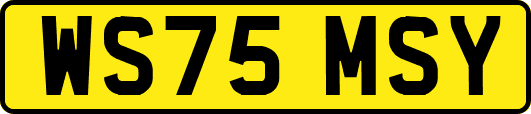 WS75MSY