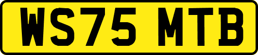 WS75MTB