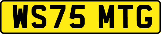 WS75MTG