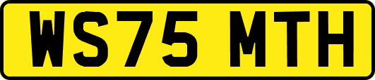 WS75MTH