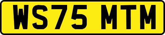 WS75MTM